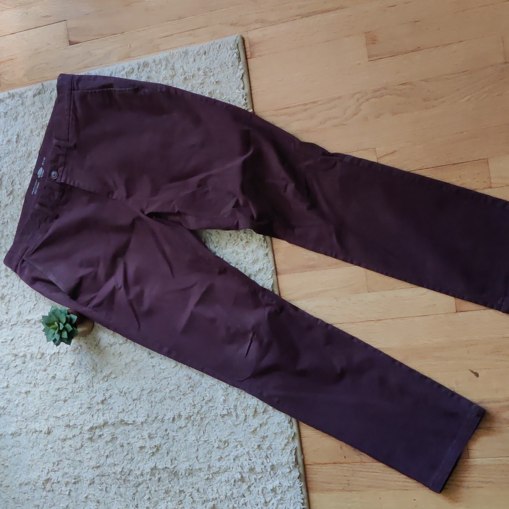 Burgundy Chino Dress Pants